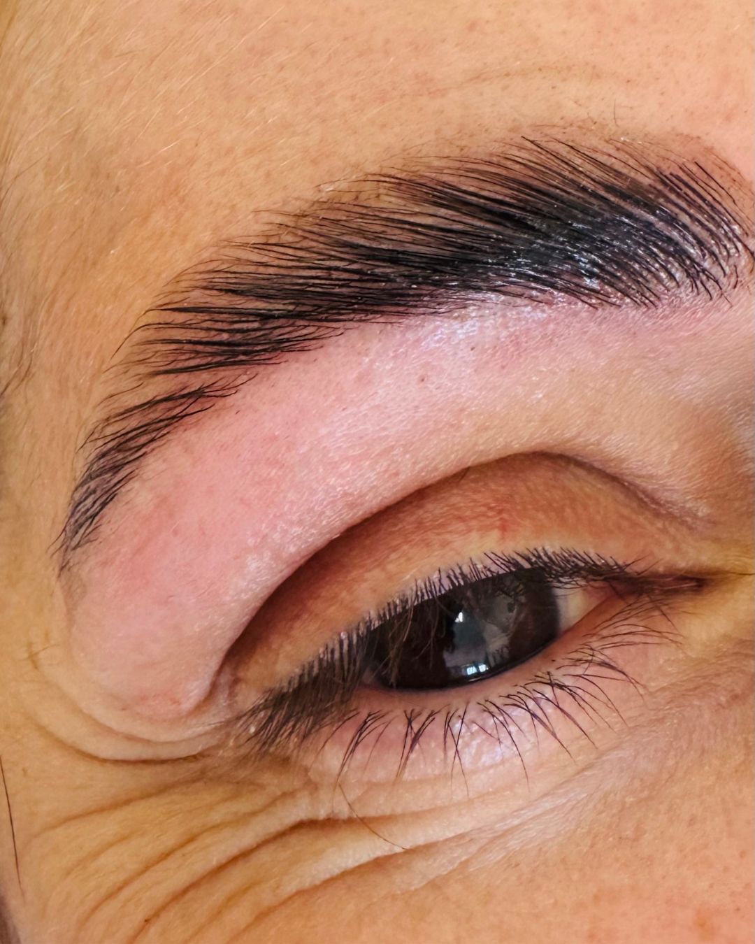lashes_and_eyebrows_ms_studio_makeup_ms_by_maria_tsaktani_5-min